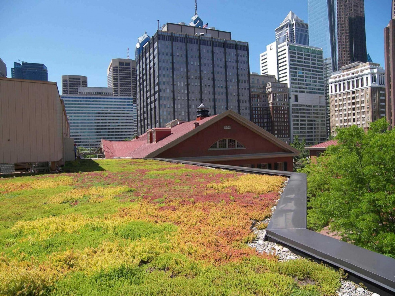 paysagiste-ENTRAUNES-min_green-roof-portfolio-4